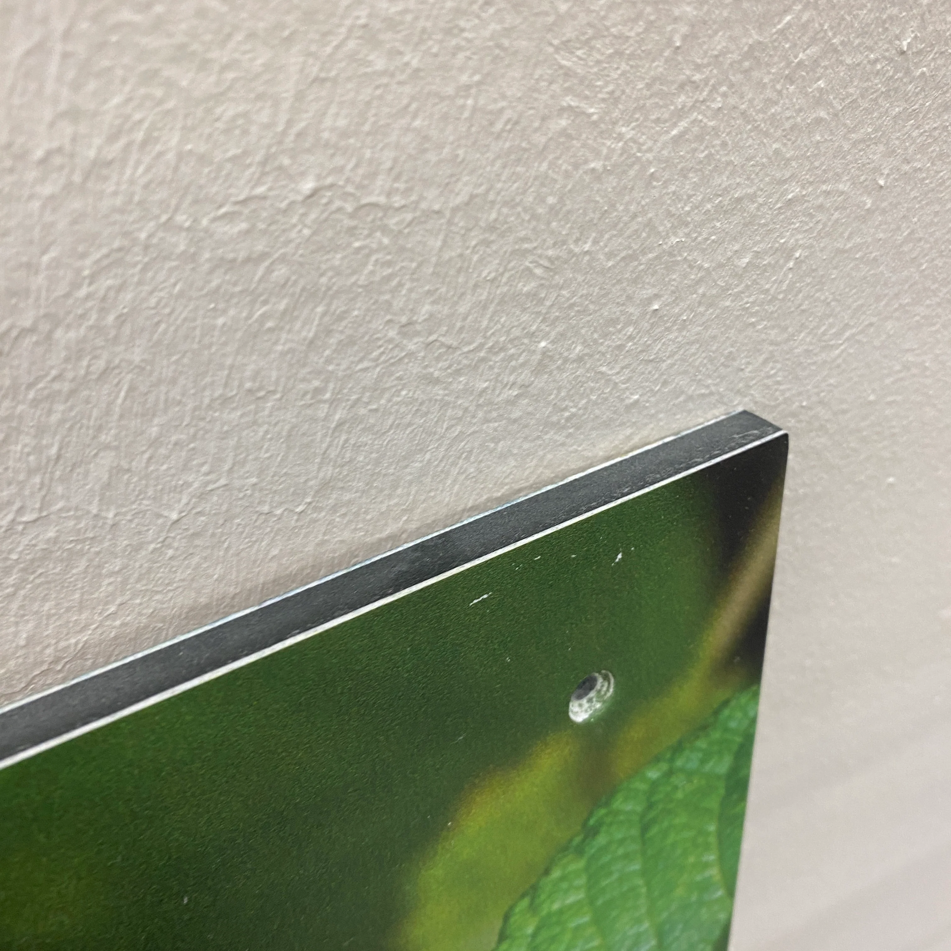 Wandbild Alu-Dibond Hagebutte Fotodruck Natur Deko gebraucht - Image 5