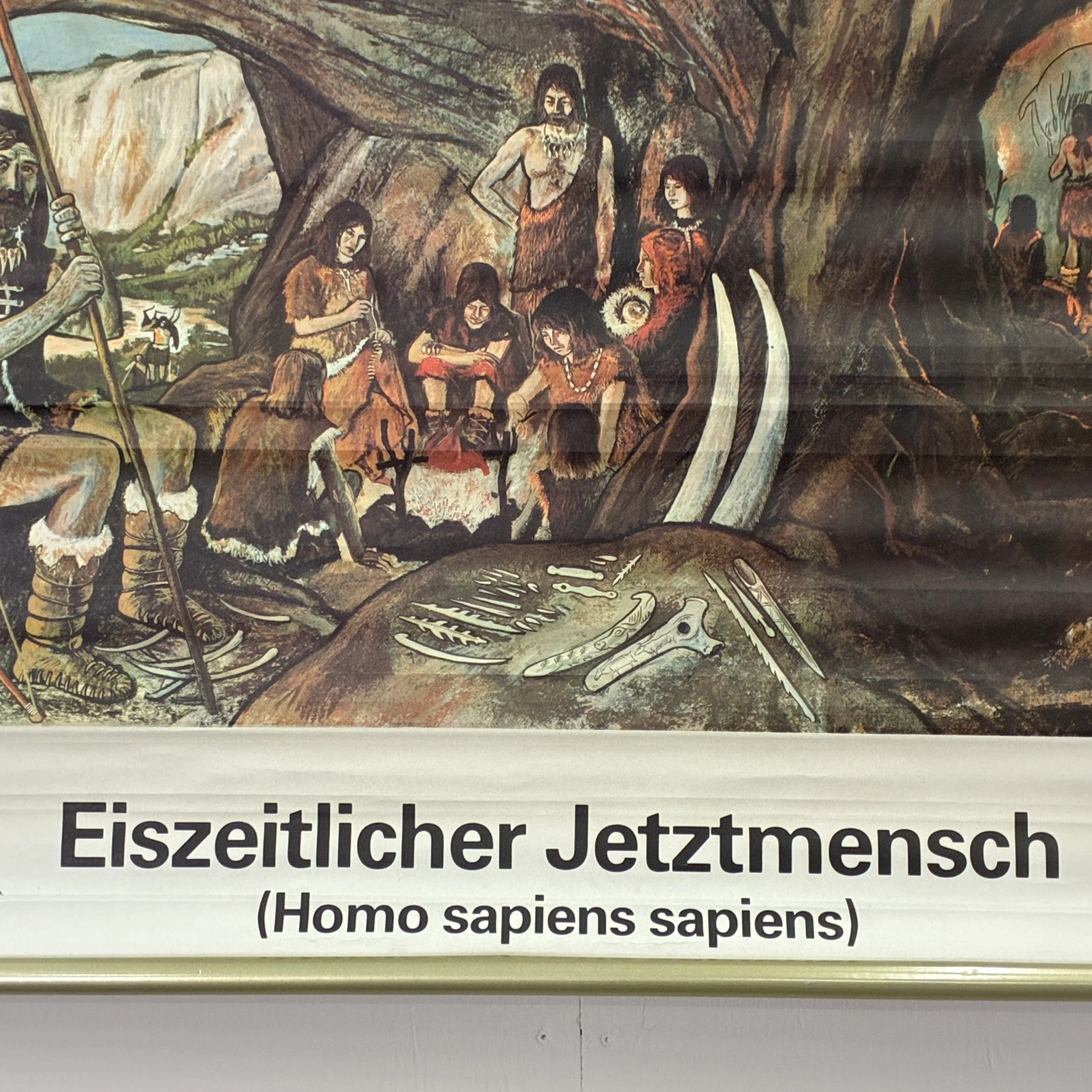 Vintage Schulkarte Eiszeitlicher Jetztmensch Steinzeit Rollbild Lehrtafel DDR Wanddeko - Image 3
