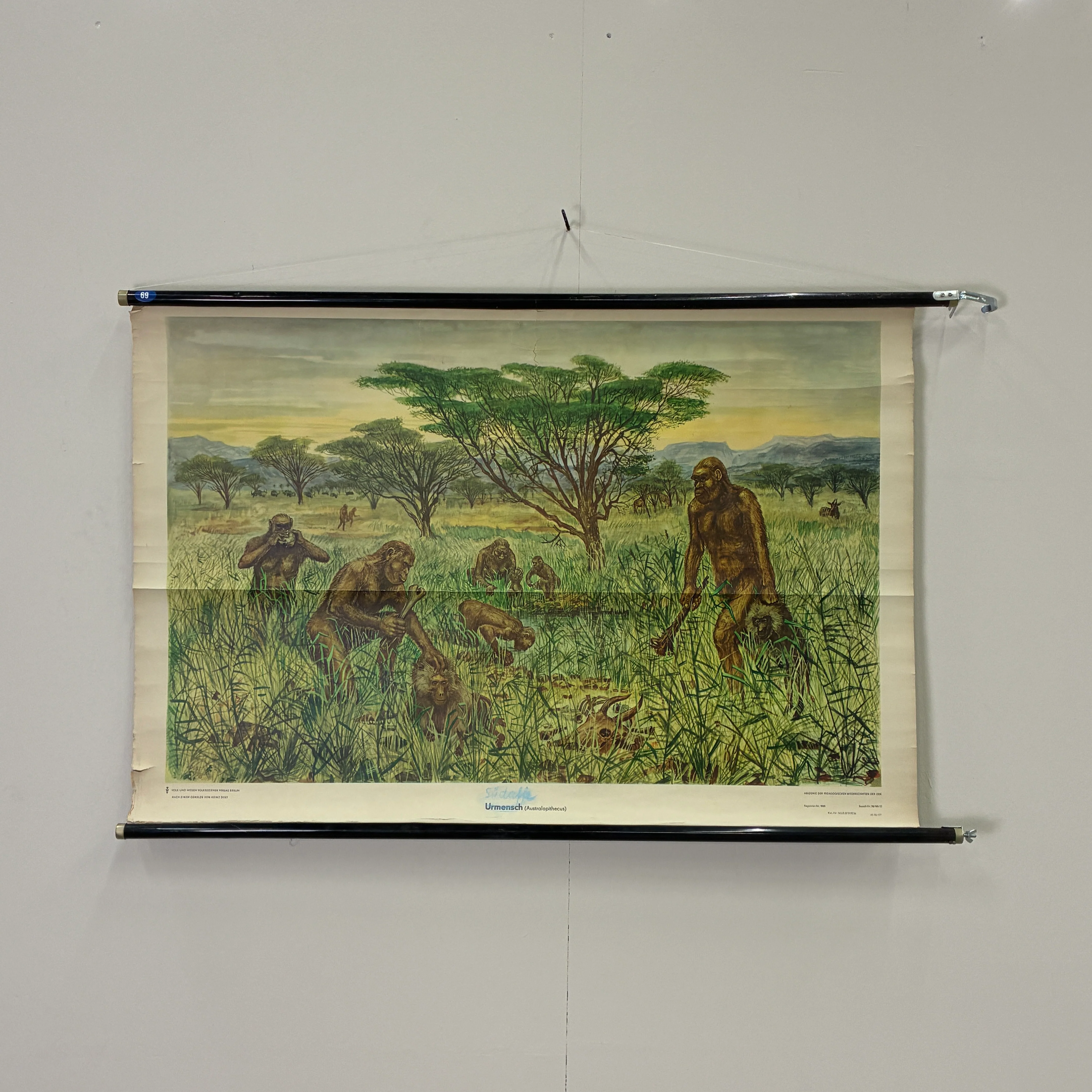 Vintage Schulkarte Urmenschen Australopithecinen Steinzeit Rollbild Lehrtafel DDR Wanddeko - Image 2