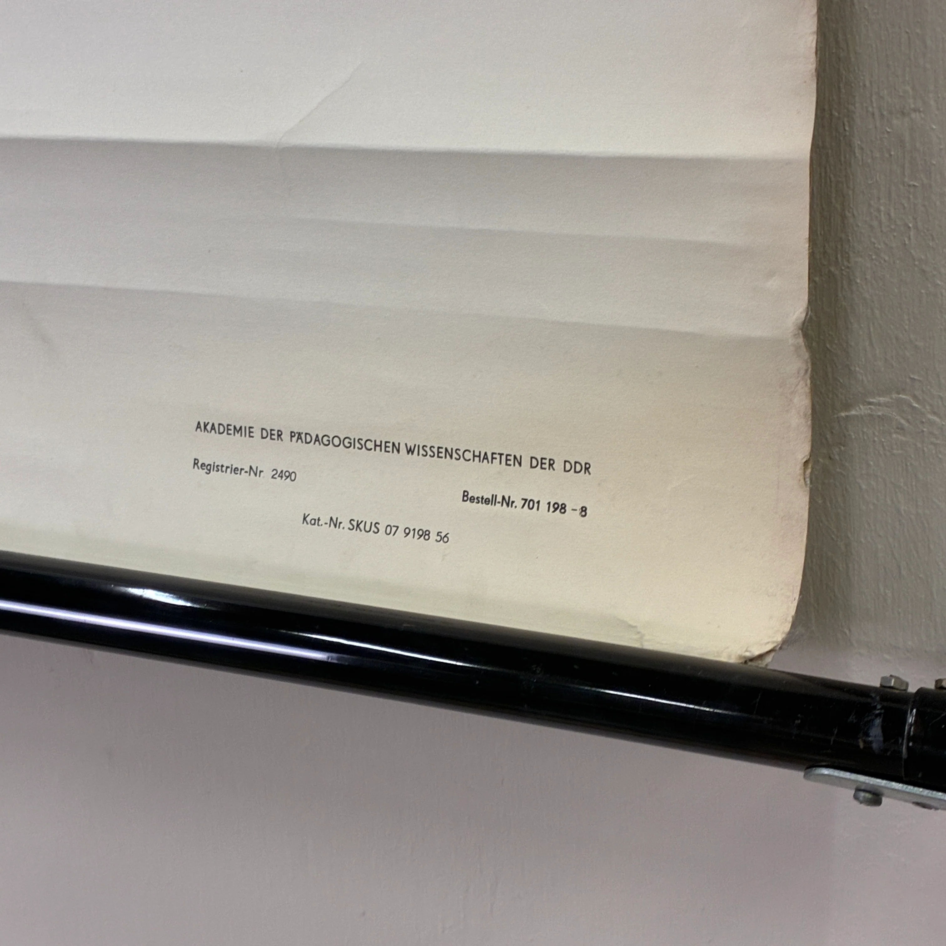 Vintage Schulkarte Teichmuschel Biologie Zoologie Rollbild Lehrtafel DDR Wanddeko - Image 5