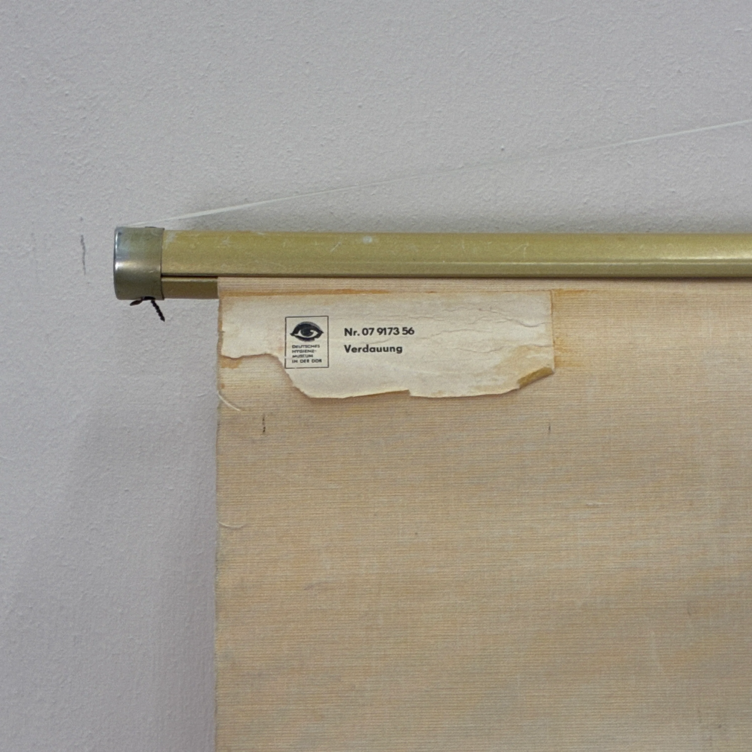 Vintage Schulkarte Die Verdauung Anatomie Rollbild Biologie Lehrtafel Wanddeko - Image 6