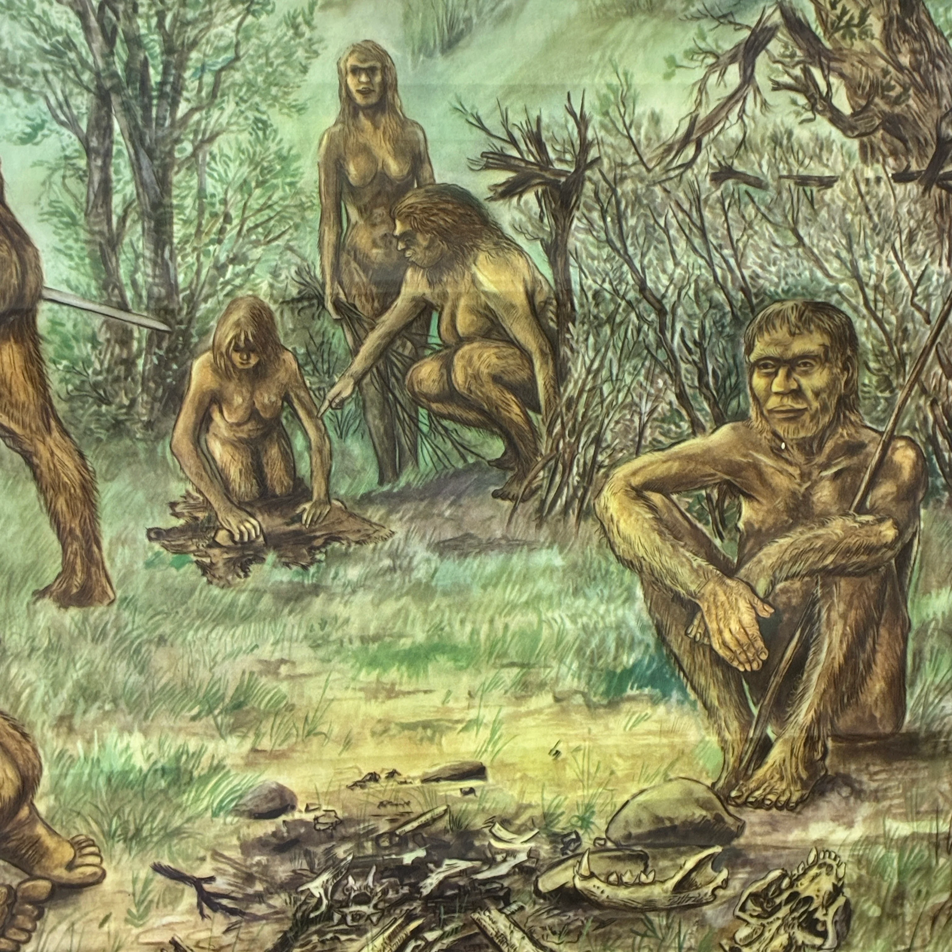 Vintage Schulkarte Urmenschen Neandertaler Steinzeit Rollbild Lehrtafel DDR Wanddeko - Image 4