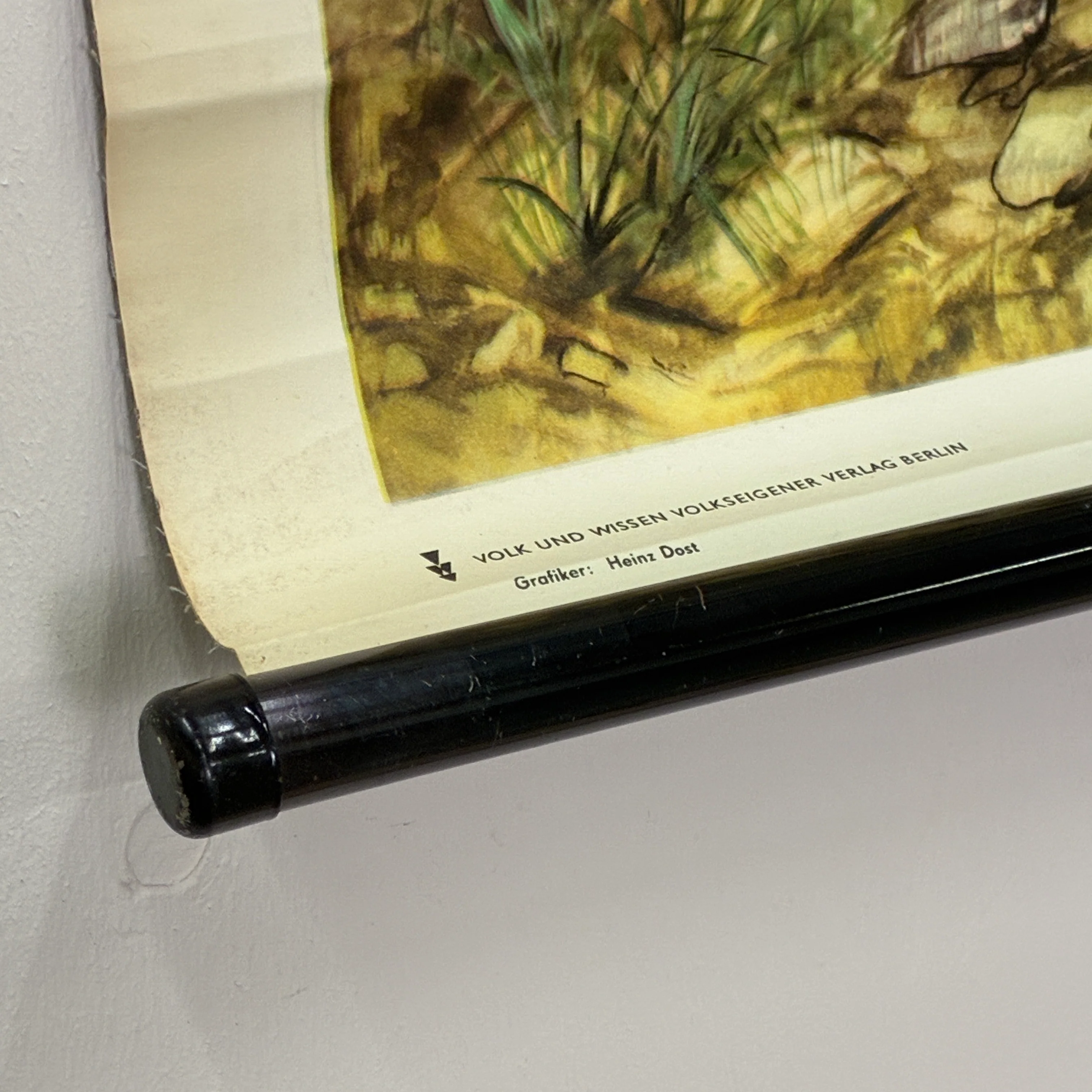 Vintage Schulkarte Urmenschen Neandertaler Steinzeit Rollbild Lehrtafel DDR Wanddeko - Image 5