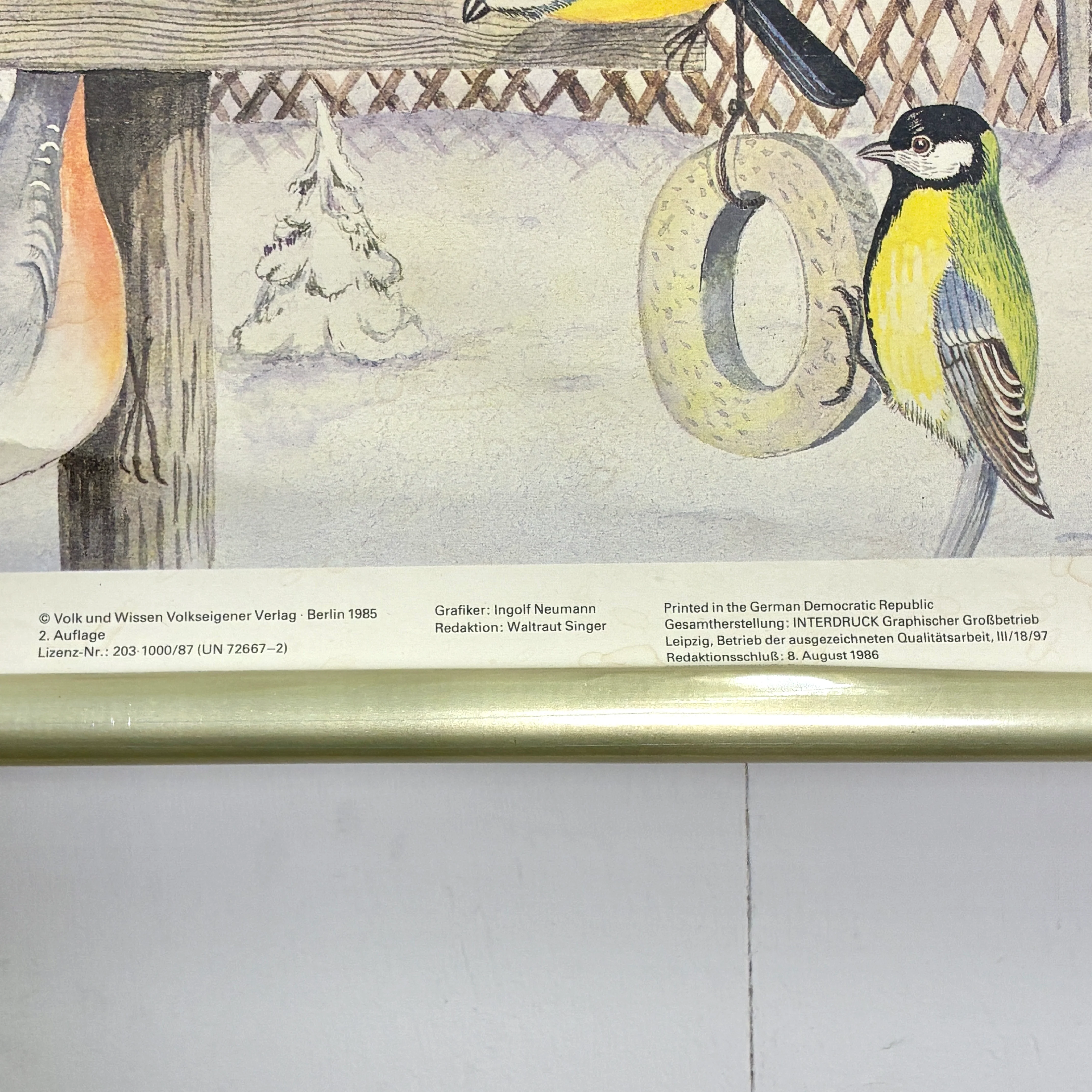 Vintage Schulkarte Vögel im Winter Rollbild Biologie Lehrtafel Wanddeko - Image 5