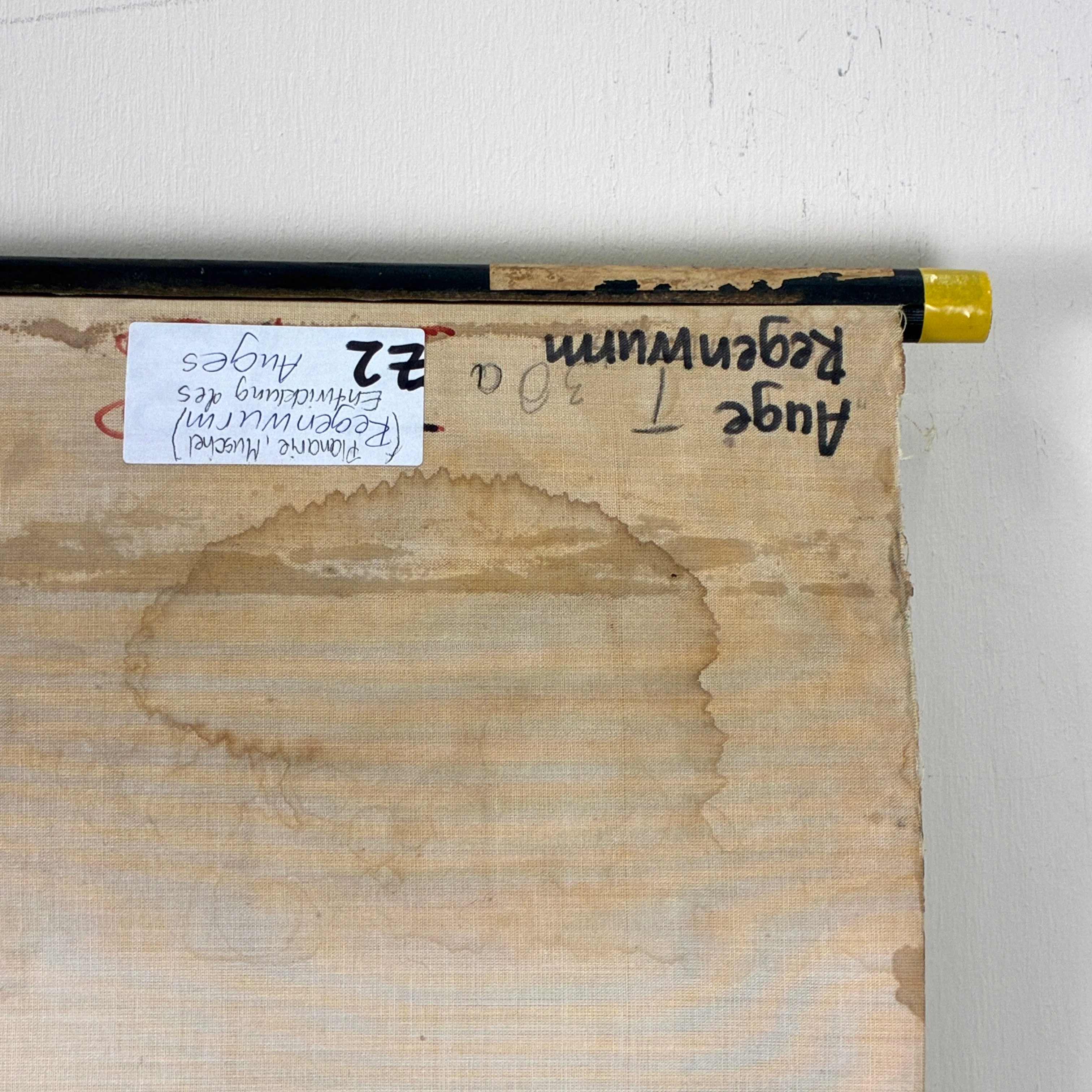 Vintage Schulkarte – Entwicklung des Lichtsinnesorgans – Biologie Lehrtafel Rollbild Wanddeko - Image 9