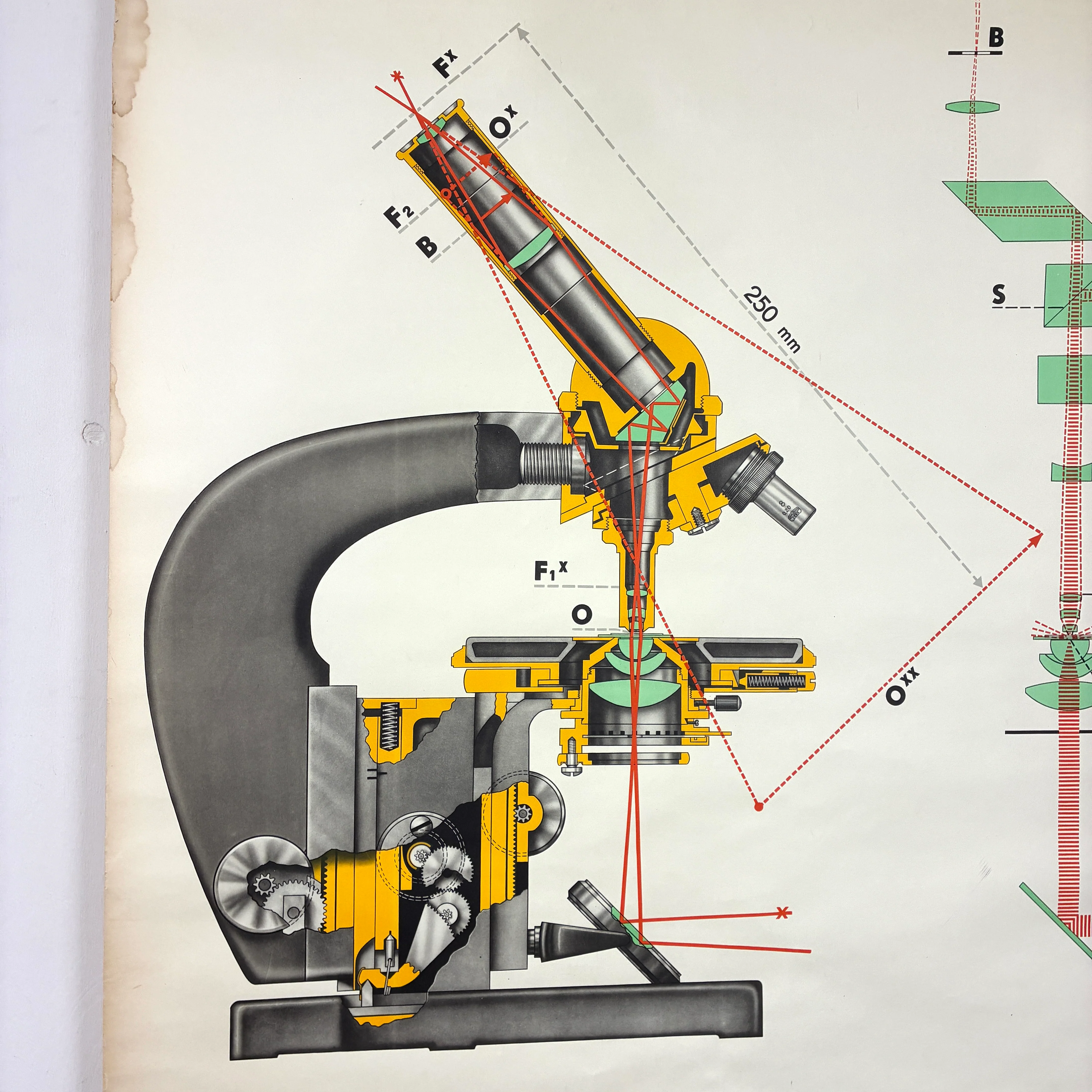 Vintage Schulkarte – Mikroskop – Physik Lehrtafel Rollbild Wanddeko - Image 4