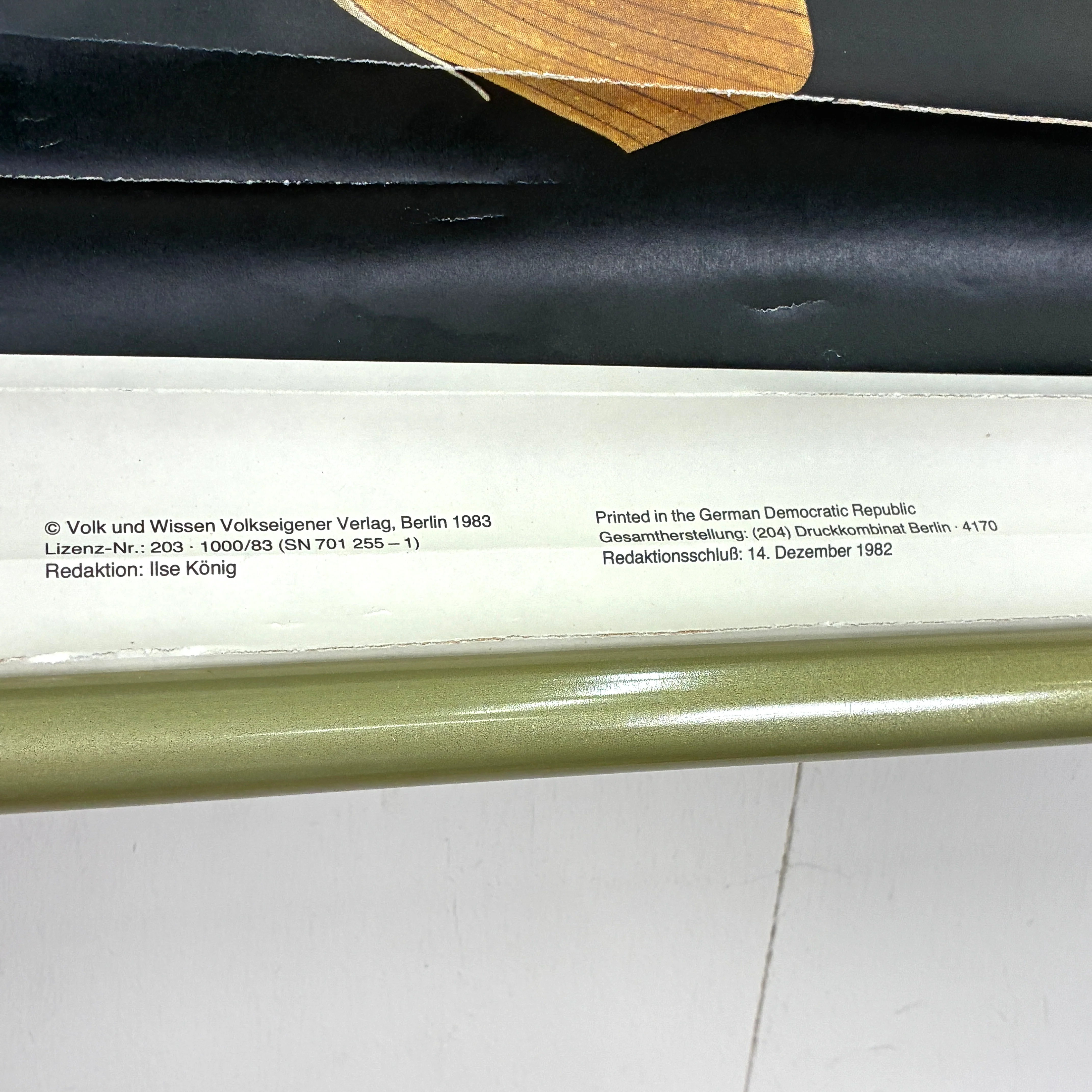 Vintage Schulkarte – Skelett Flußbarsch – Biologie Lehrtafel Rollbild Wanddeko - Image 8