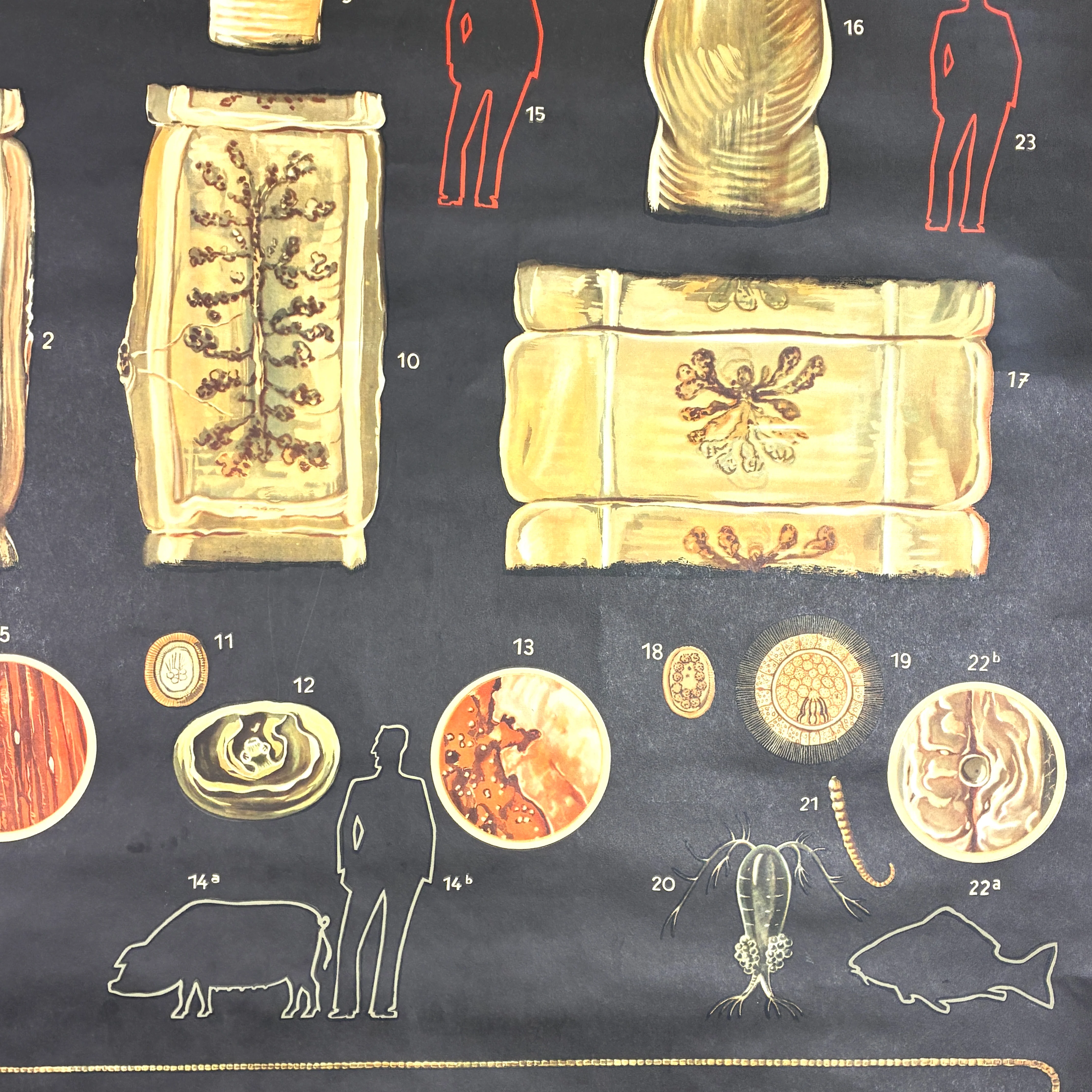 Vintage Schulkarte – Antike Kulturen (Sumer) – Geschichts-Lehrtafel Rollbild Wanddeko - Image 5