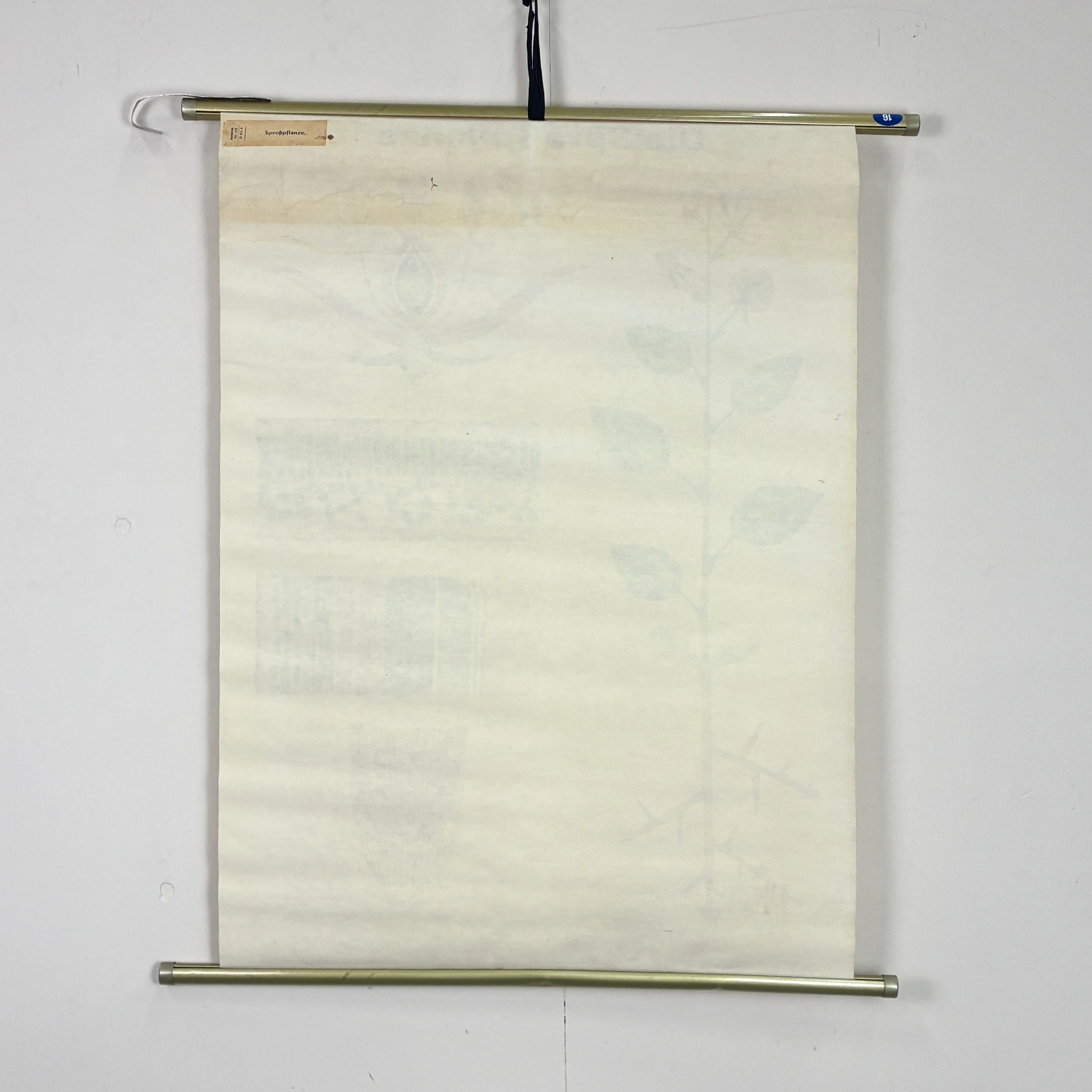 Vintage Schulkarte - Die Sproßpflanze - Rollbild Lehrtafel Wanddeko - Image 8