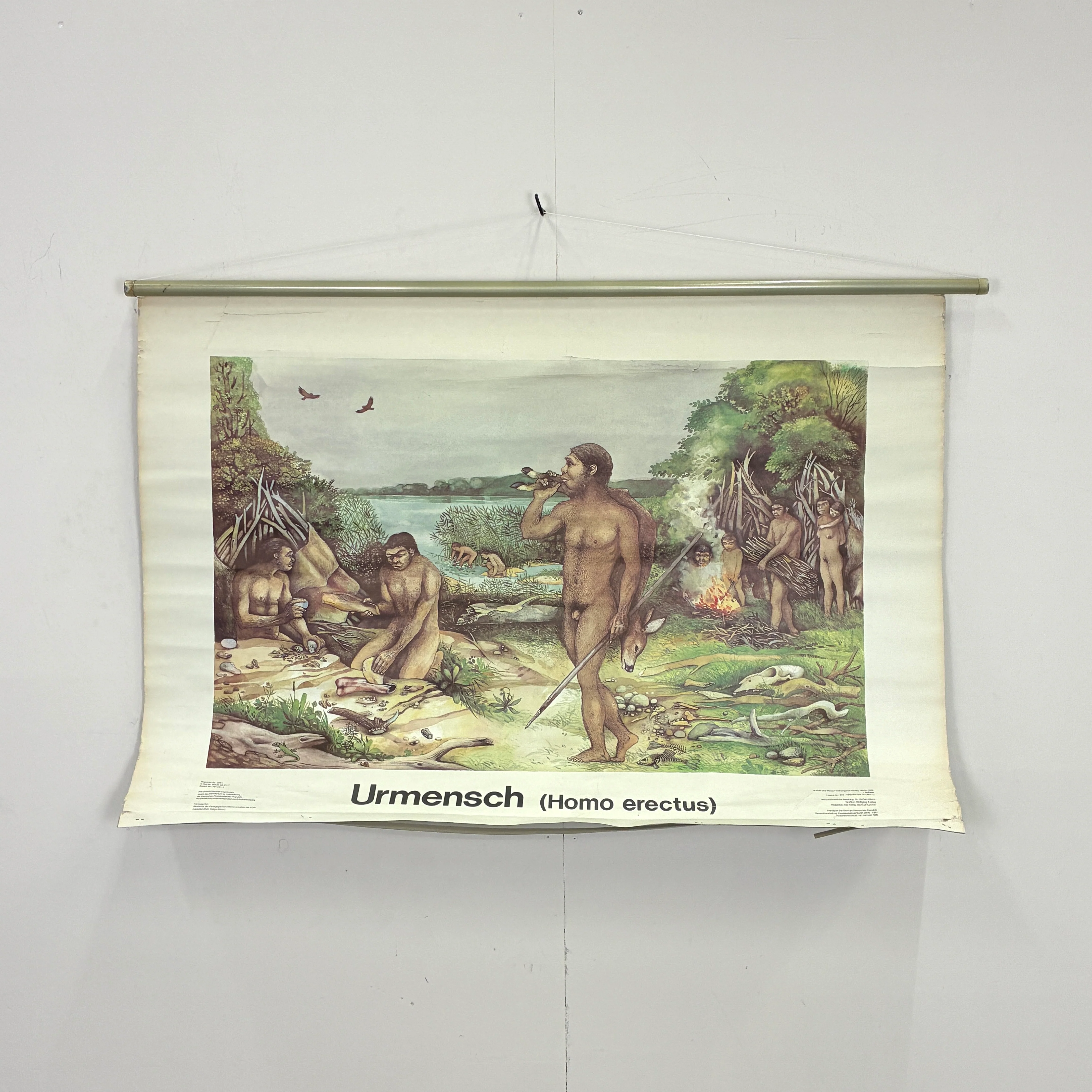 Vintage Schulwandkarte „Urmensch (Homo erectus)“ – Lehrtafel Rollbild Wanddeko - Image 2
