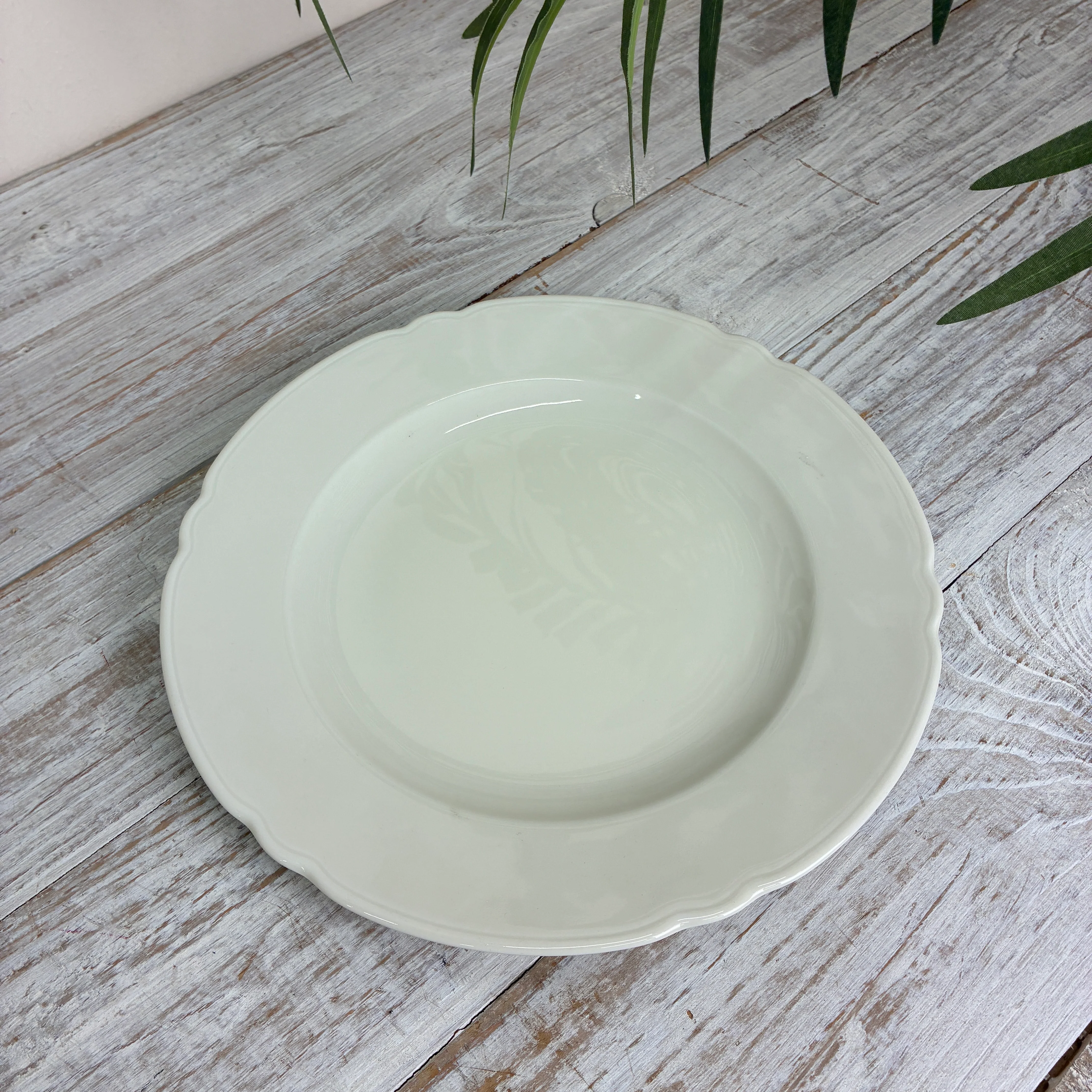 Seltmann Weiden Marie Luise Speiseteller 25 cm Elfenbein - Image 3