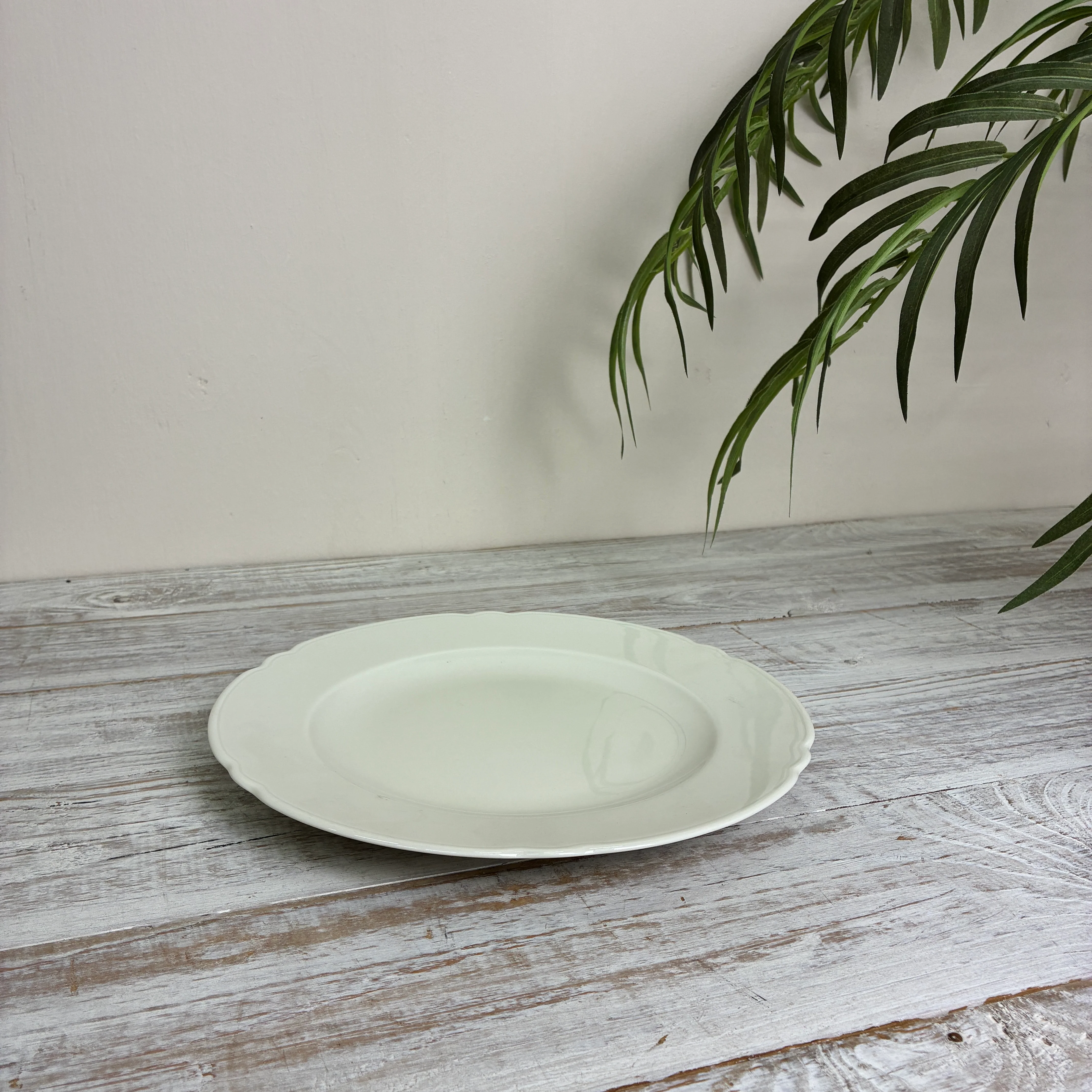 Seltmann Weiden Marie Luise Speiseteller 25 cm Elfenbein - Image 8