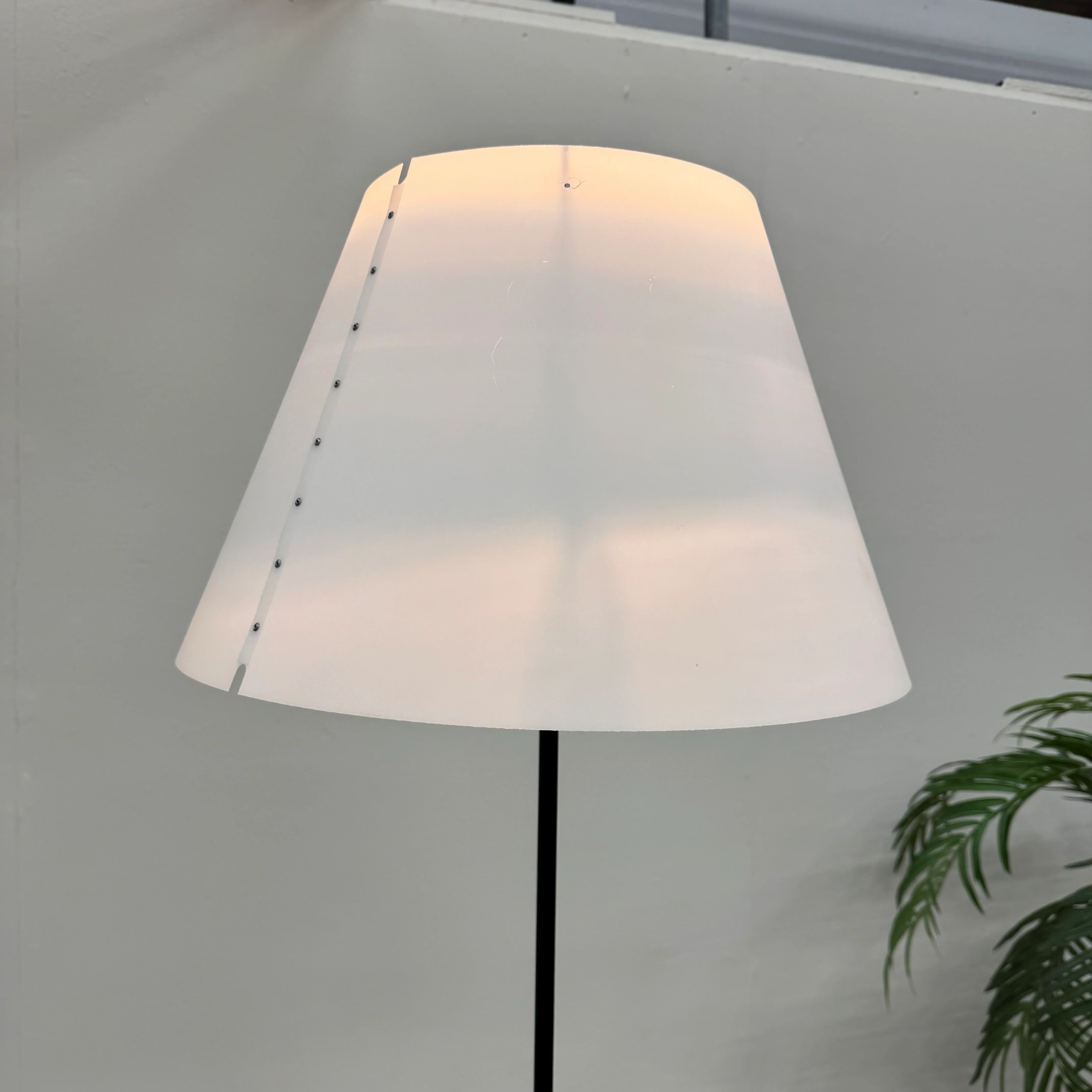 Luceplan Costanza Stehlampe schwarz Lampe Gebraucht - Image 4