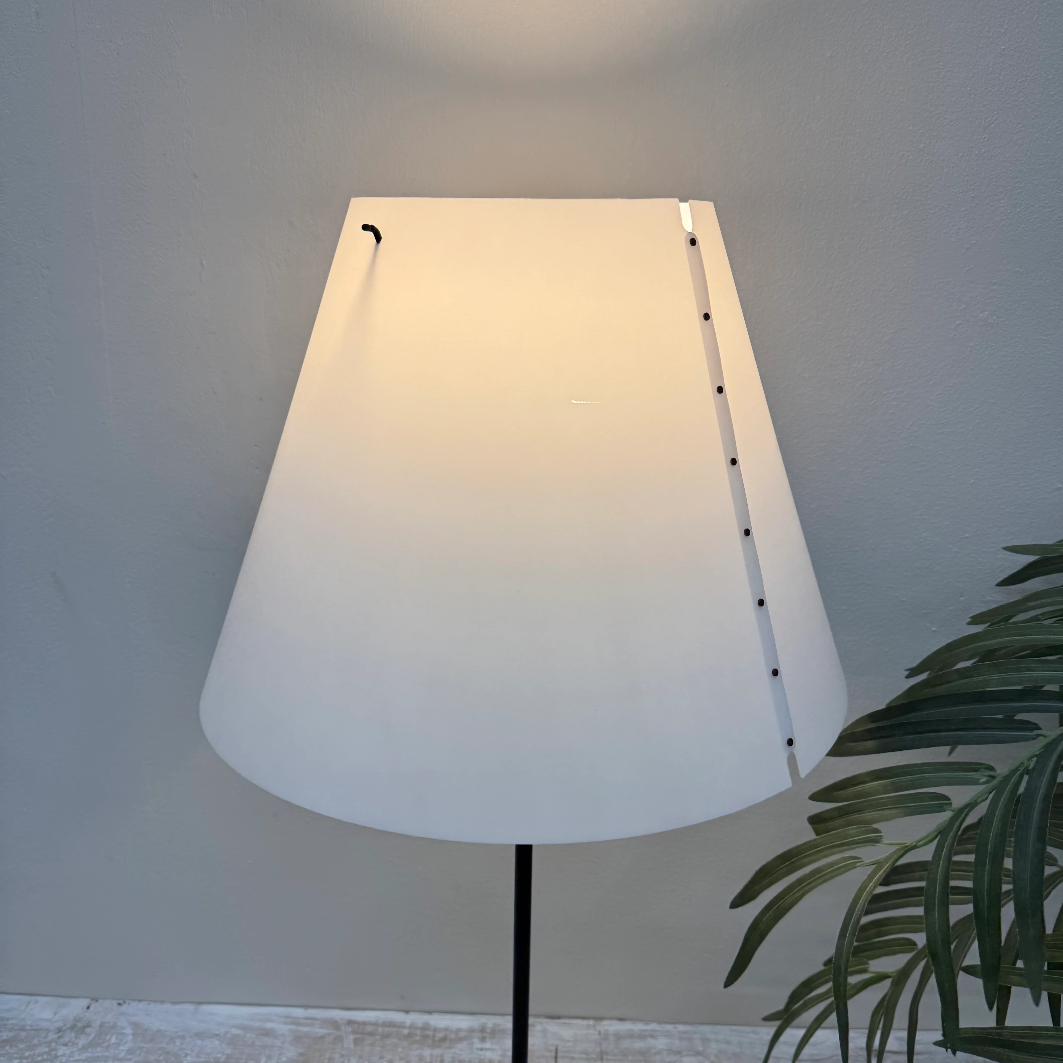 Luceplan Costanza Tischlampe schwarz Lampe Gebraucht - Image 3
