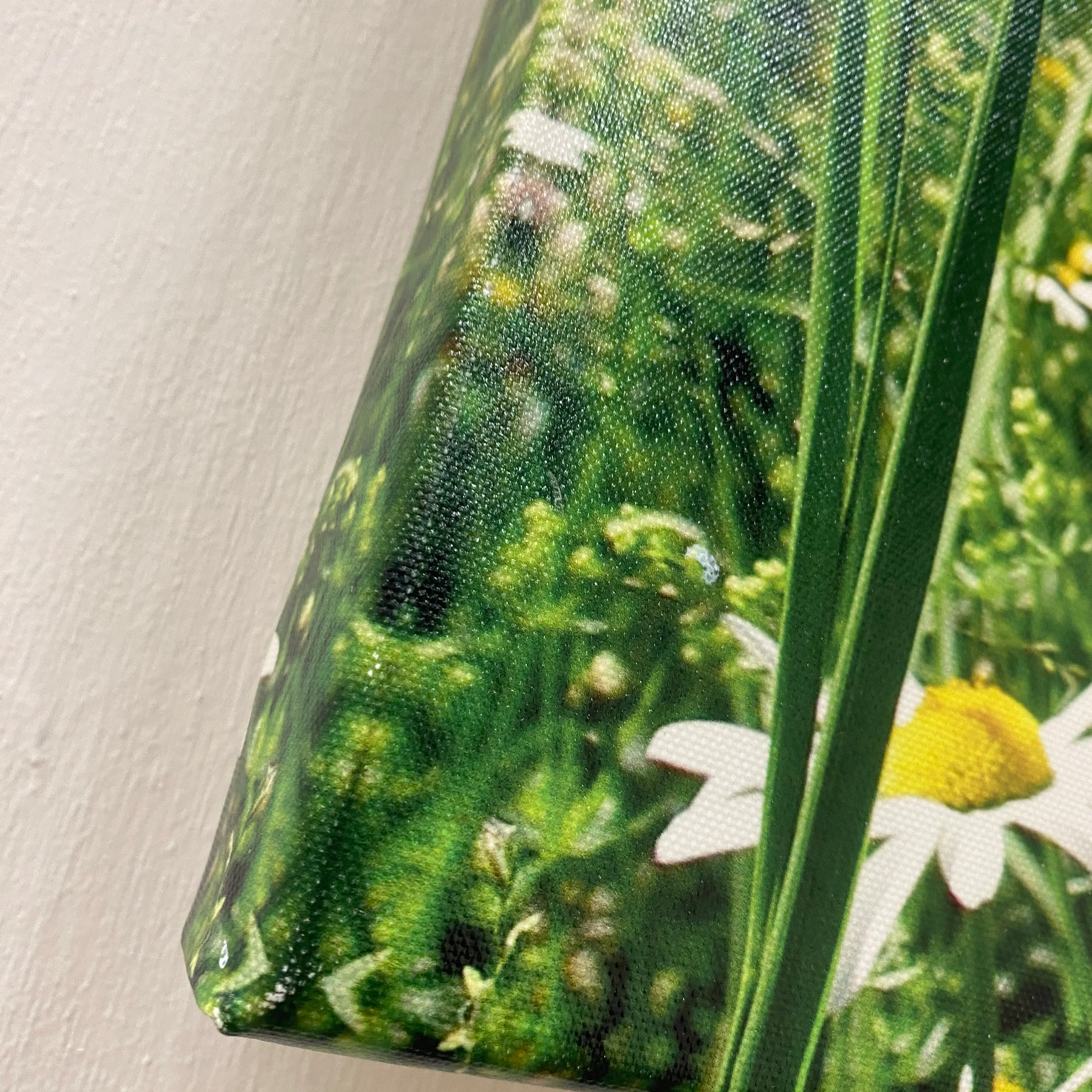 Wandbild Leinwand 40x40 Margerite Fotodruck Natur Deko - Image 4